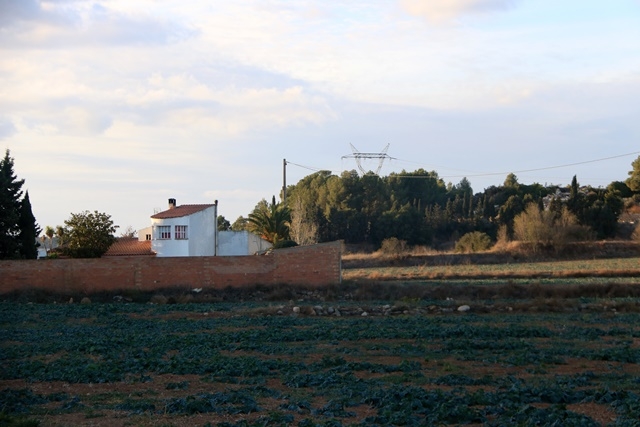 NEUS BERTOLA - ARIADNA ESCODA / ARXIU / ACN