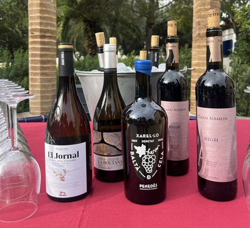vins ruta del Xató