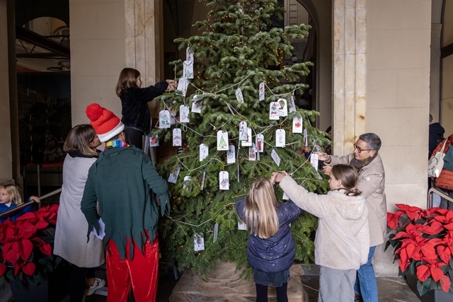 JOAN CARLES BORRACHERO
