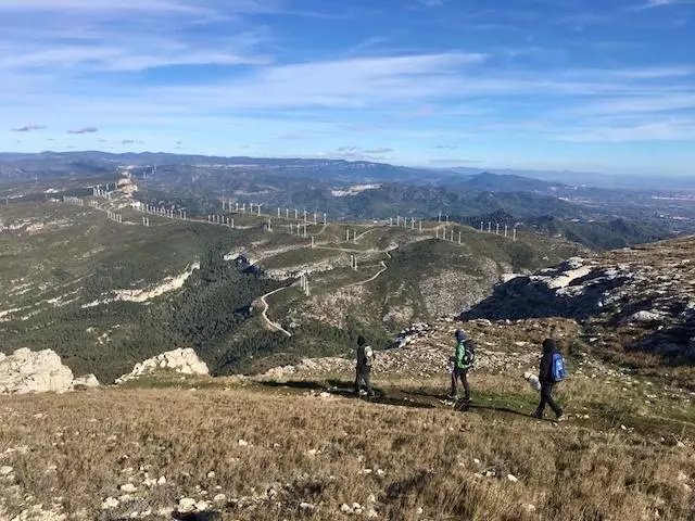 CONSELL COMARCAL DEL PRIORAT