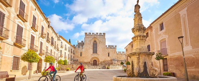 CONSELL COMARCAL DE L'ALT CAMP