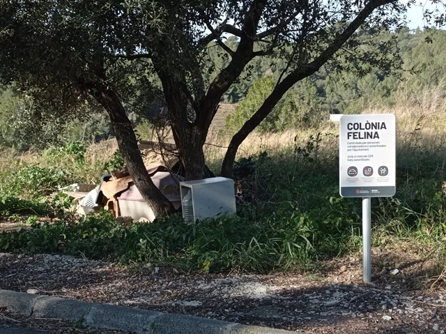 AJUNTAMENT D'ALMOSTER