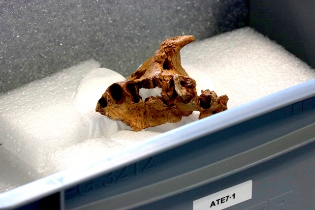 ARNAU MARTÍNEZ / ACN