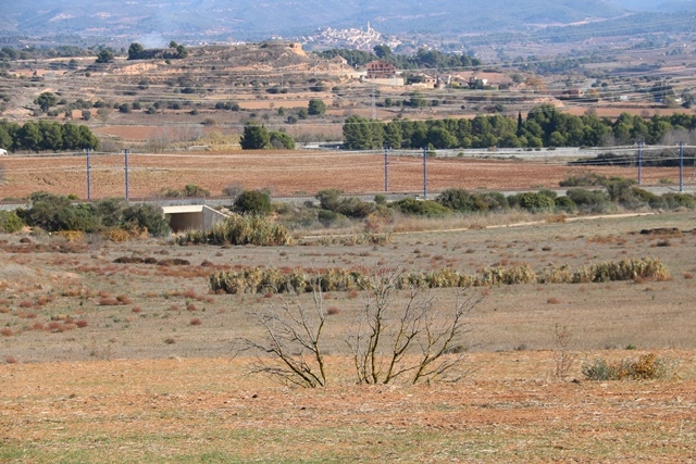 NÚRIA TORRES / ARXIU - ACN