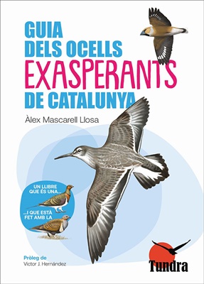 03 guia ocells exasperants
