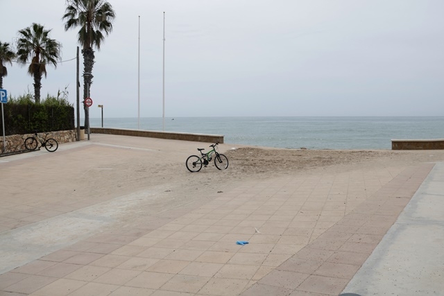 ARIADNA ESCODA / ACN