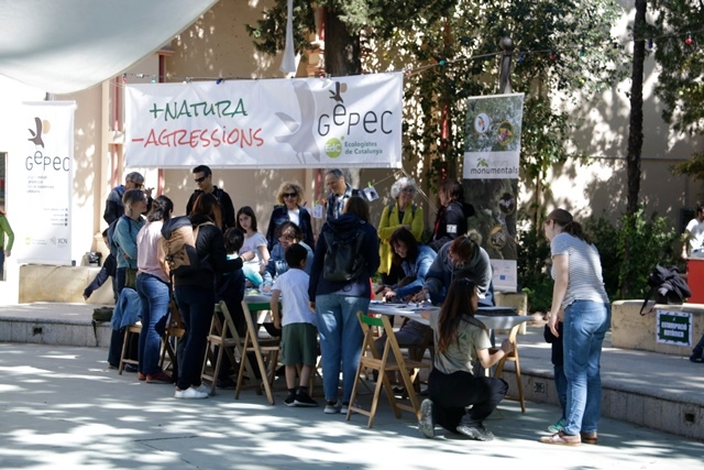 ARIADNA ESCODA / ACN