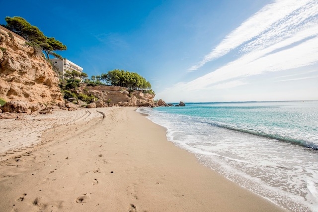 AJUNTAMENT DE MONT-ROIG DEL CAMP