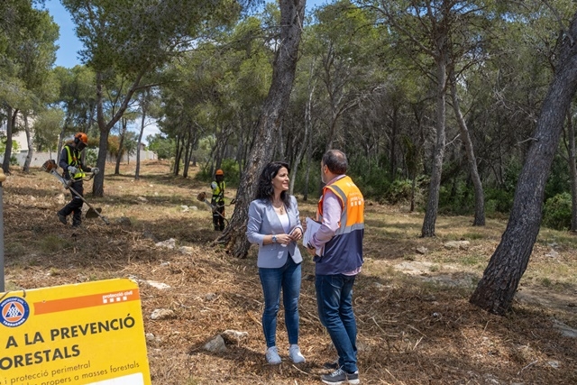 JOAN CARLES BORRACHERO