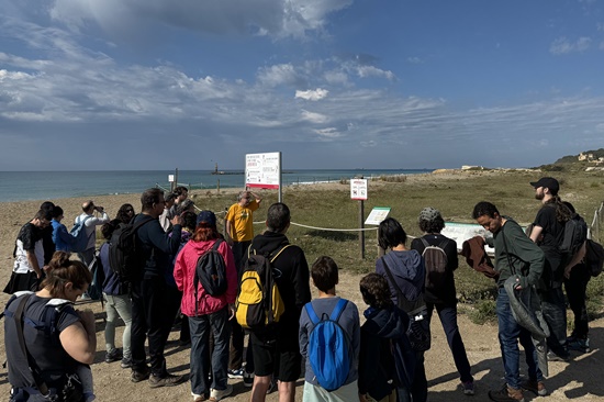 Festa dels falciots 2