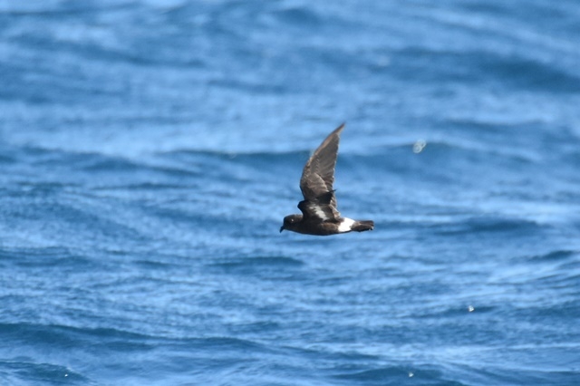 Fotografies: ENRIC PÀMIES