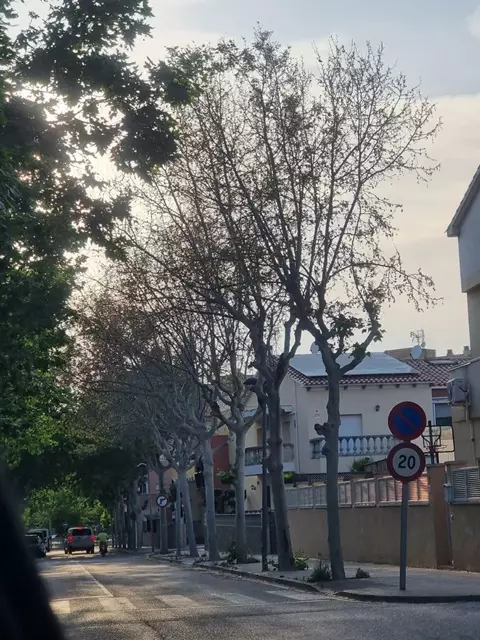 AJUNTAMENT DE L'ARBOÇ