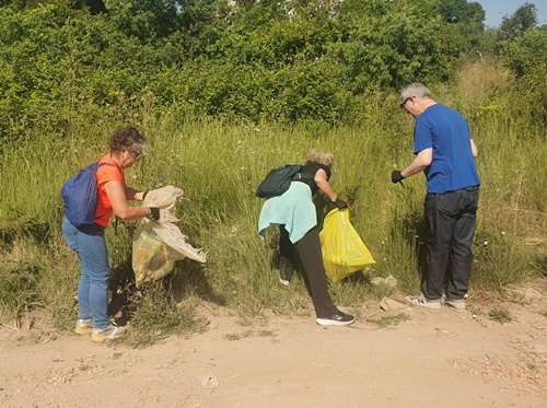 recollint brossa als Montgons