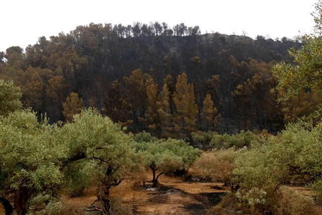 ARNAU MARTÍNEZ / ACN