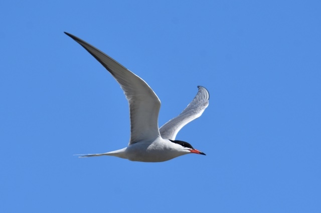 Fotografies: ENRIC PÀMIES