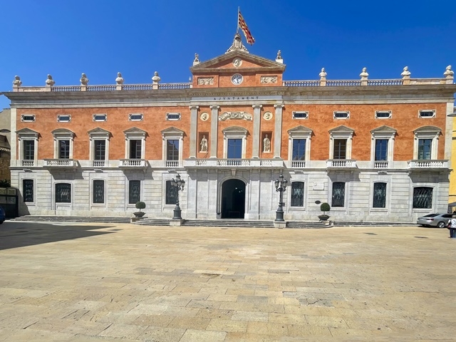 JOAN CARLES BORRACHERO