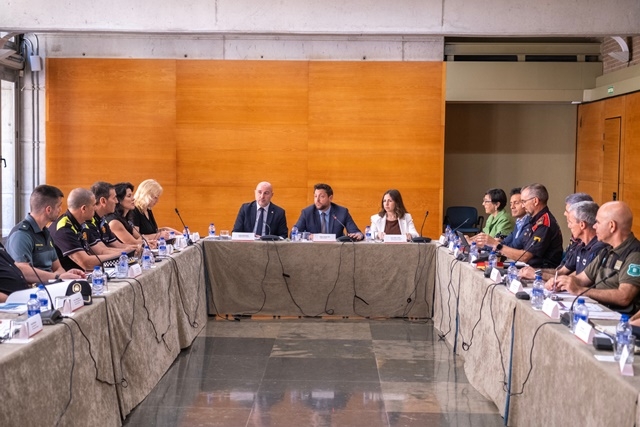 JOAN CARLES BORRACHERO