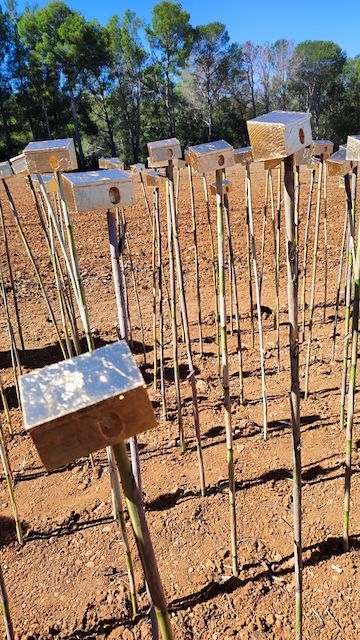 AJUNTAMENT DE CAMBRILS