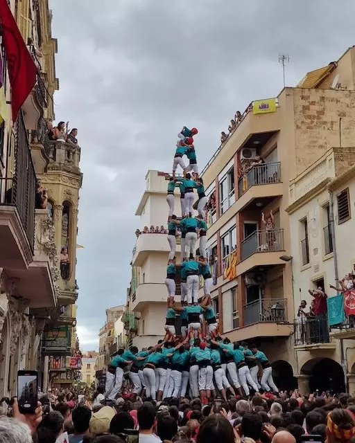 AJUNTAMENT DE L'ARBOÇ