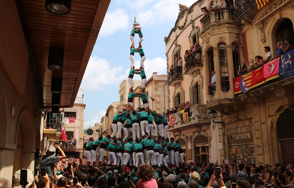 Verds 2de9fm Arboc 25