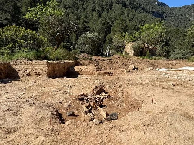 CEDIDA