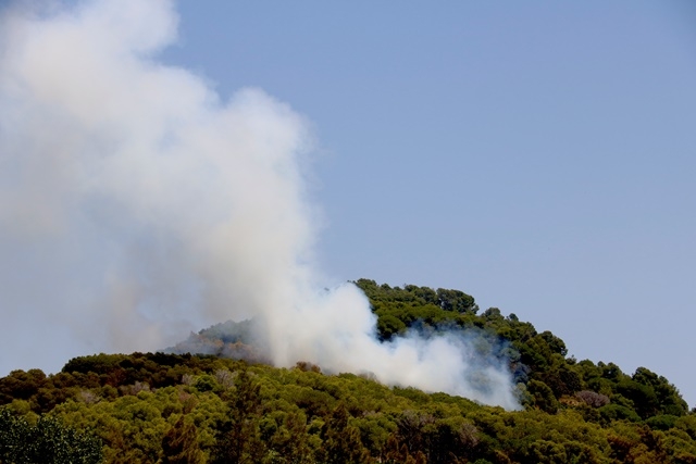 ARNAU MARTÍNEZ / ACN