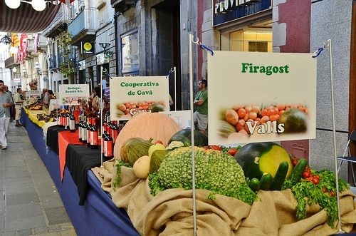 ARXIU / INFOCAMP