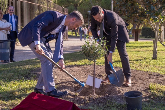 alcaldes Tarragona i Voiron plantació