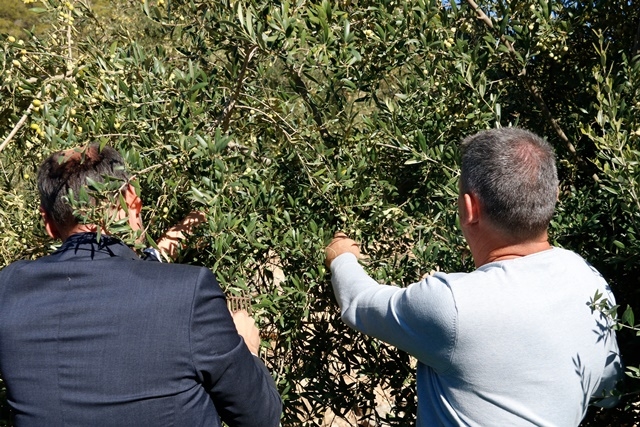 ARNAU MARTÍNEZ / ACN