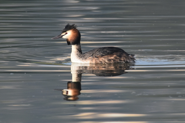 Fotografies: ENRIC PÀMIES