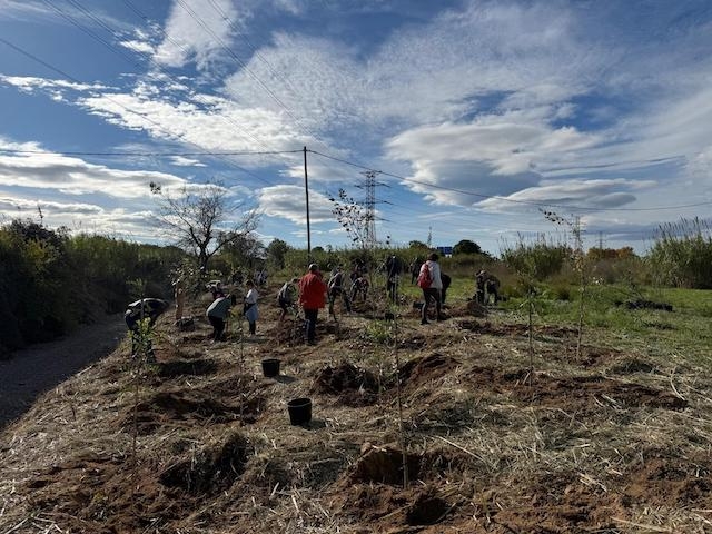 AJUNTAMENT DE LA CANONJA