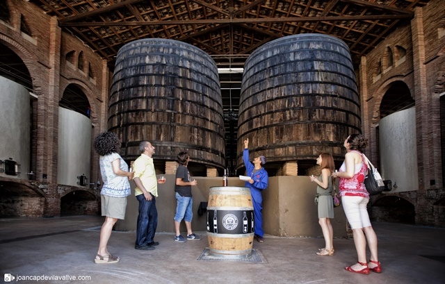 JOAN CAPDEVILA VALLVÉ / COOP. FALSET MARÇÀ