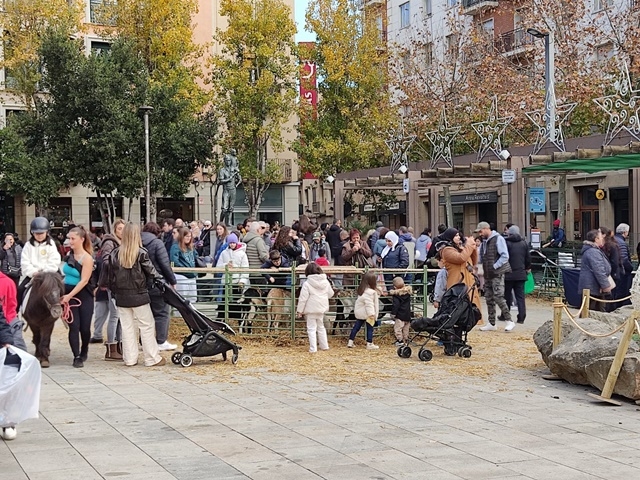 CAMBRA DE VALLS