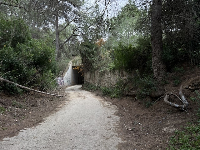 CEDIDA