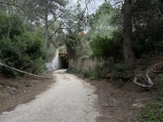 CEDIDA