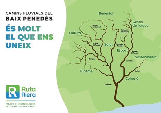 Ruta Riera infografia