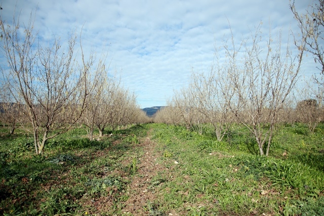 MAR ROVIRA / ACN