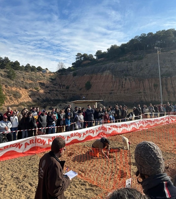 AJUNTAMENT DE VIMBODÍ I POBLET
