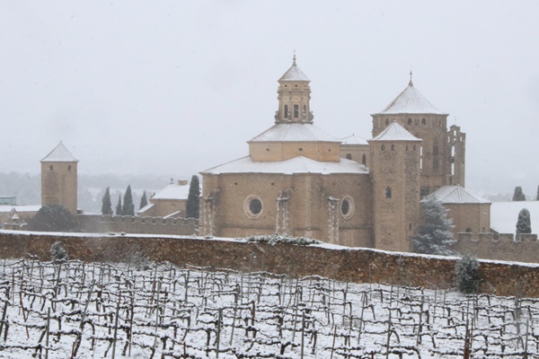 Poblet nevat Reis 2026