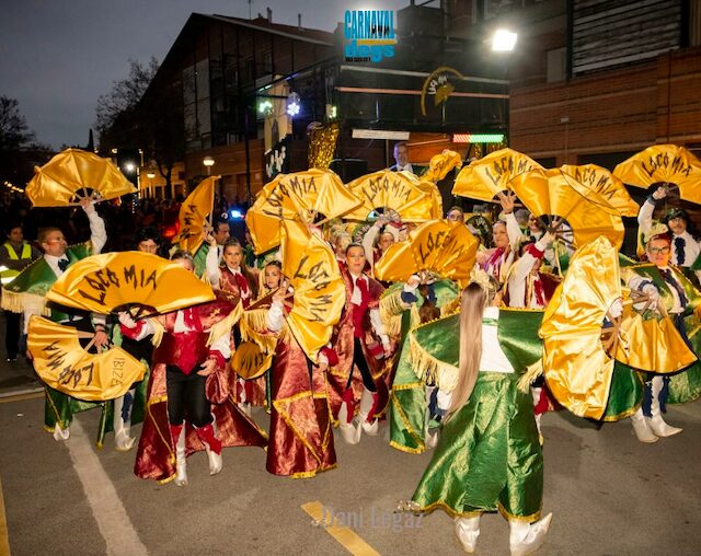 Carnaval Vilaseca - InfoCamp