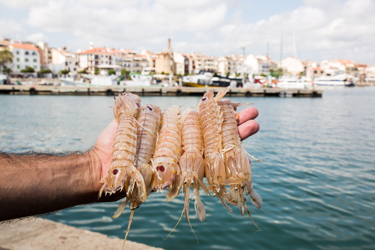 Galeres Port De Cambrils - InfoCamp