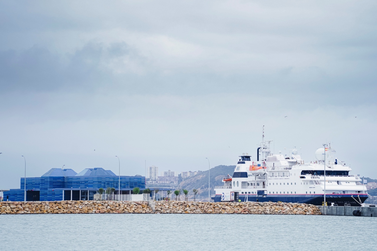 Moll De Balears Recurs Electrificacio - InfoCamp