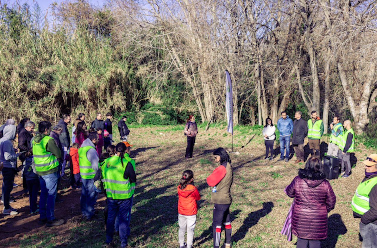 Plantada Morell - InfoCamp