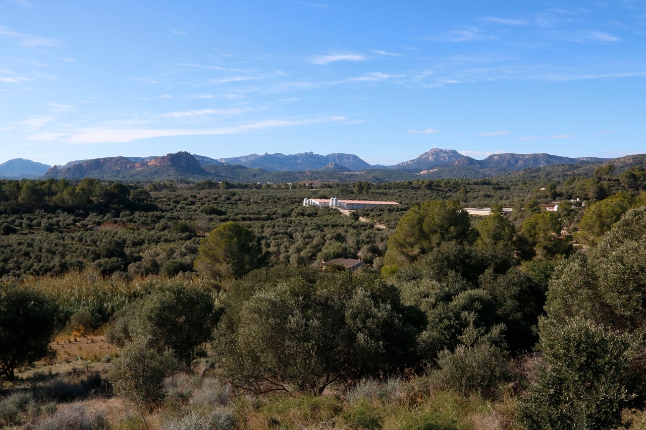 Terrenys Riudecanyes Afectats Eolica - InfoCamp