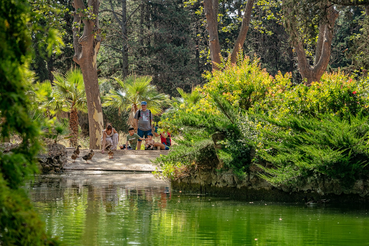 acanthus prize parc sama 2026