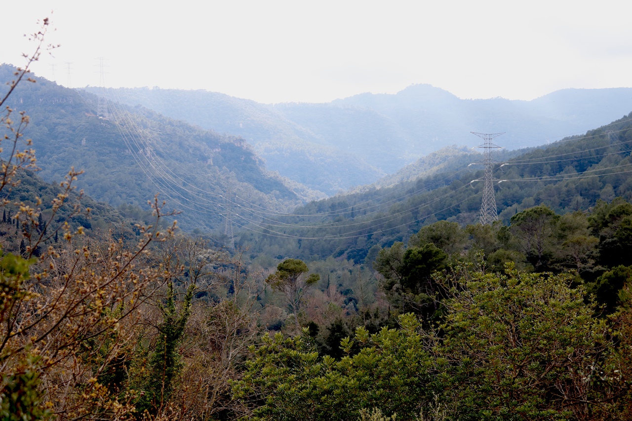 alcover espai protegit parc muntanyes prades