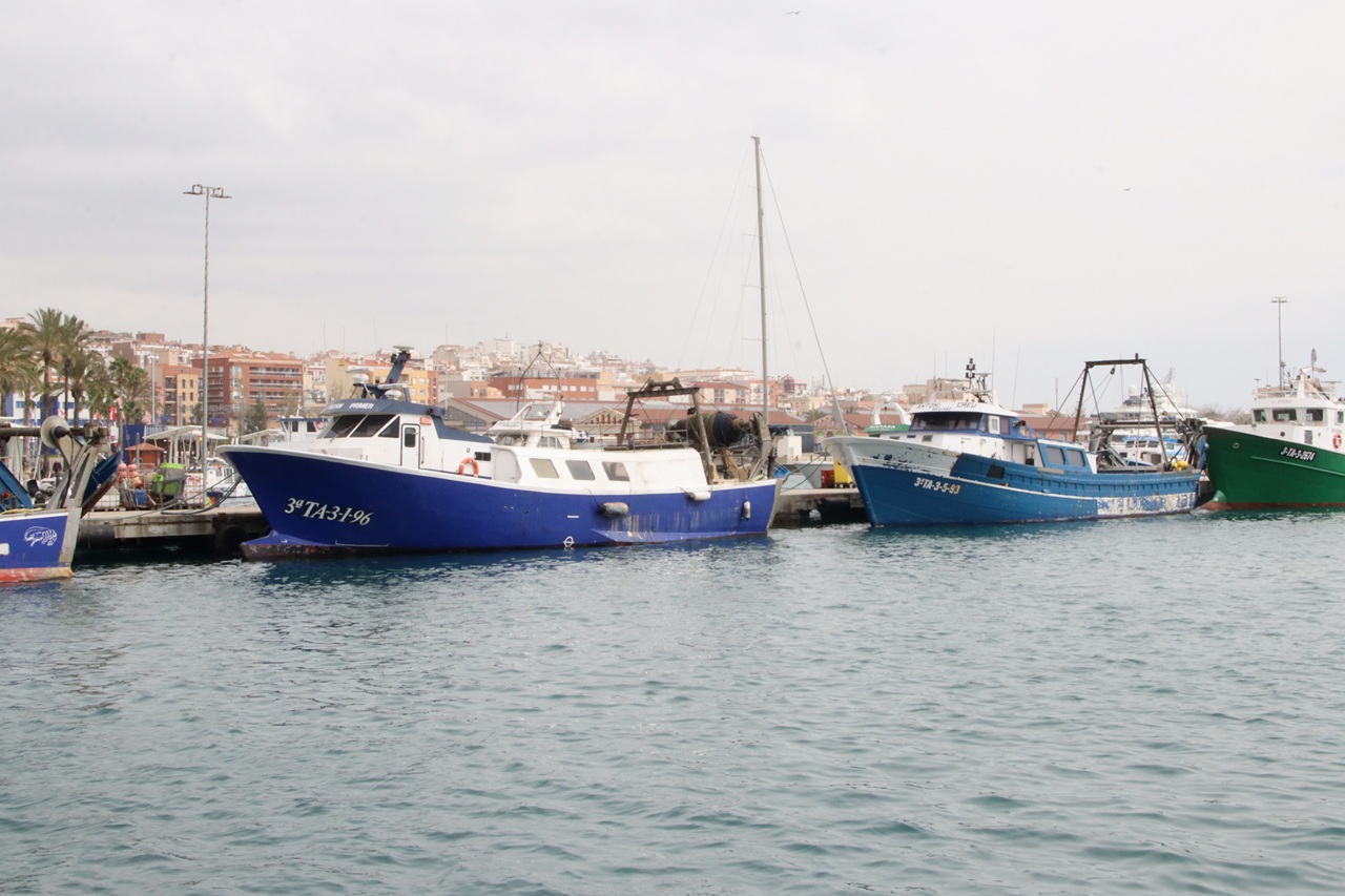 barques amarrades al port tgna marc 26