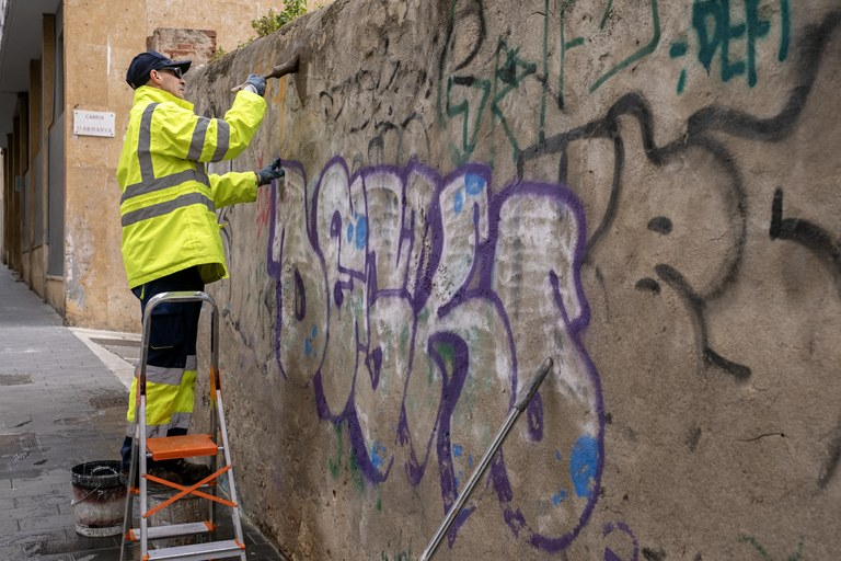 brigada neteja grafits tgna