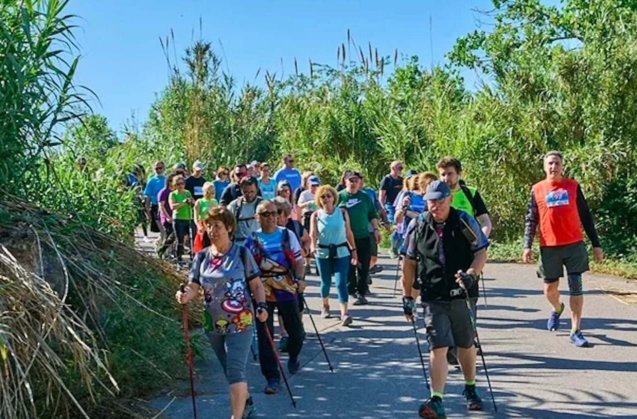 caminada masmolets