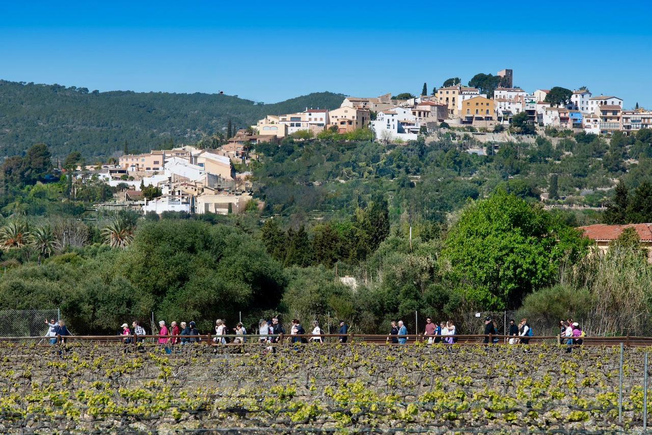 caminada vendrell